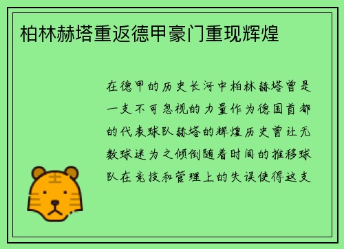 柏林赫塔重返德甲豪门重现辉煌